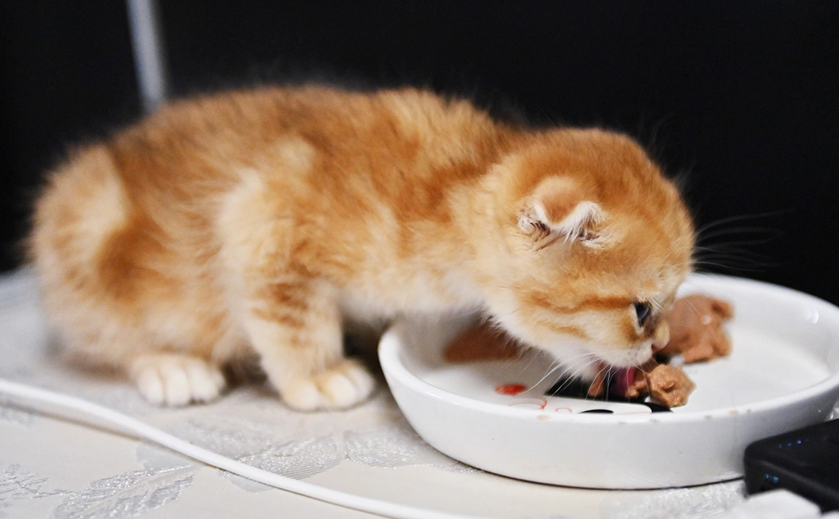 Наталья Селиверстова / РИА Новости