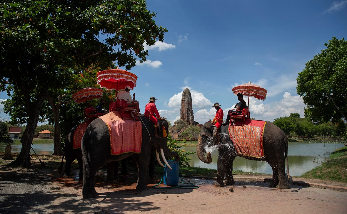Lauren DeCicca / Getty Images