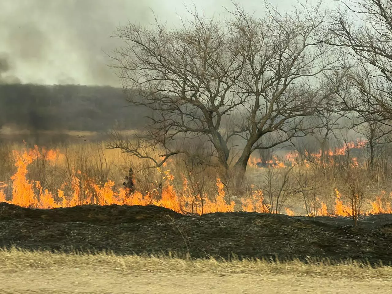 РБК Приморье