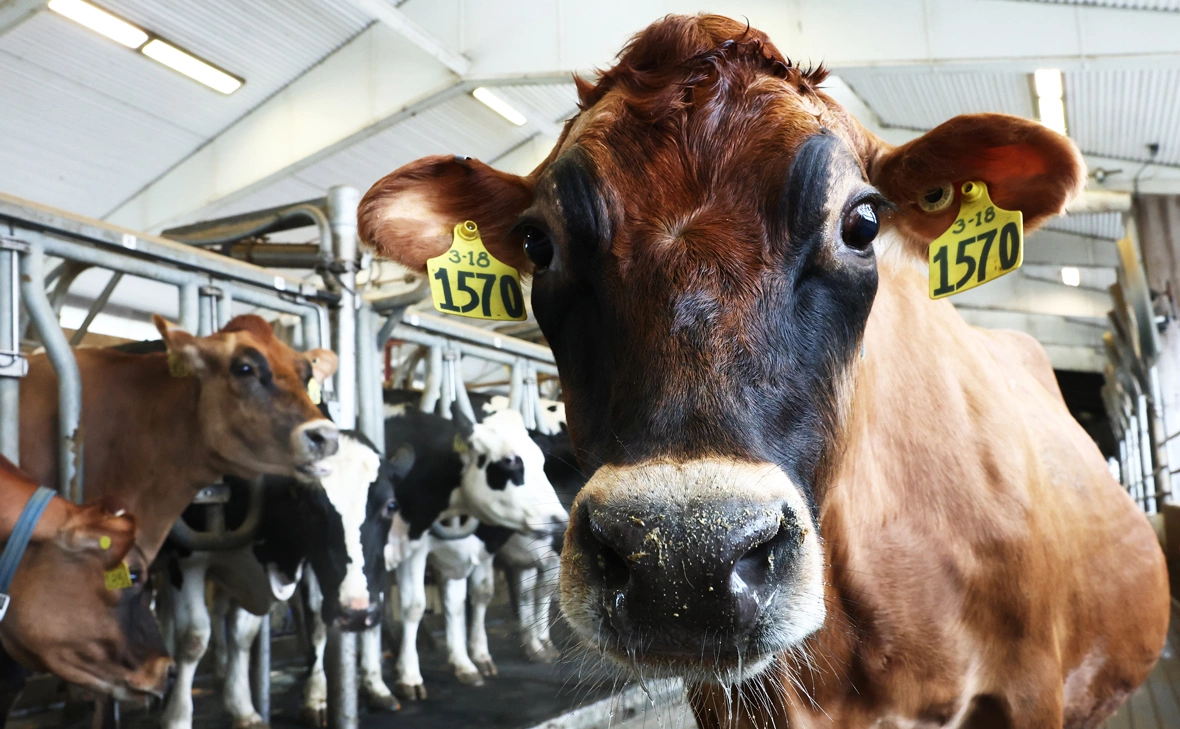 Michael M. Santiago / Getty Images