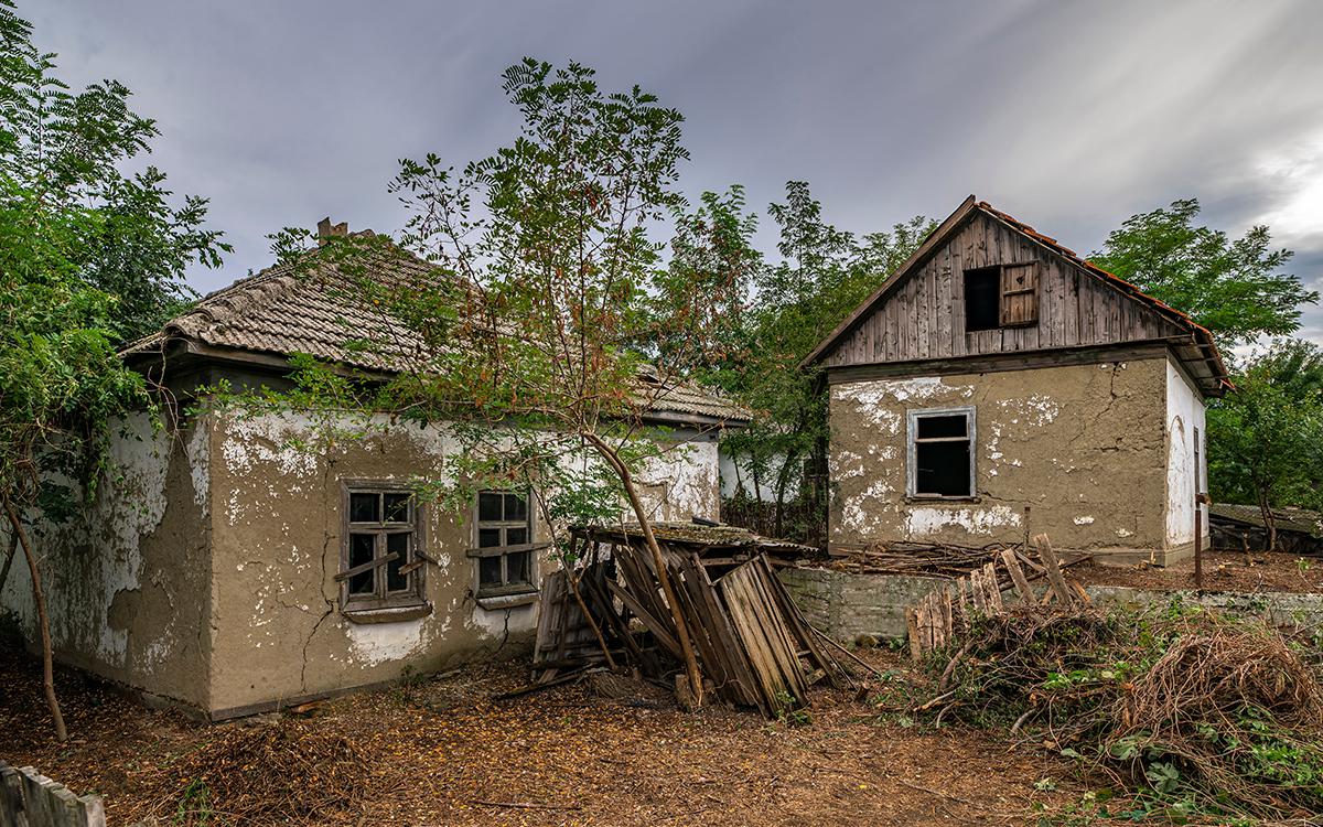 Фото: FedBul / Shutterstock / FOTODOM