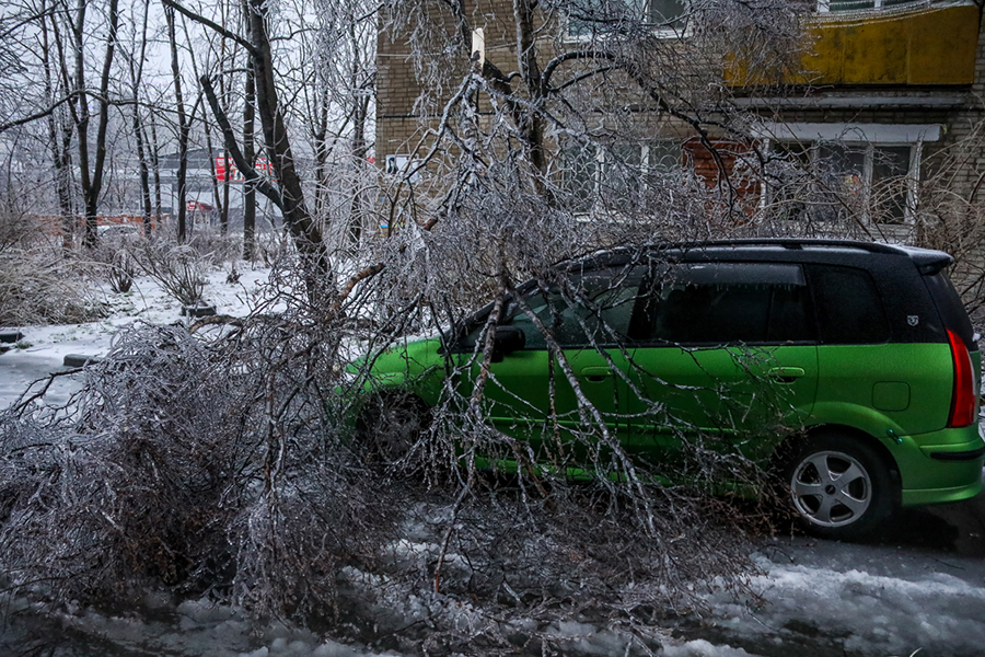 Из-за ледяного дождя на деревьях образовалась наледь, от упавших веток в городе пострадали припаркованные автомобили. Для ликвидации последствий дождя в городе привлекли силы МЧС