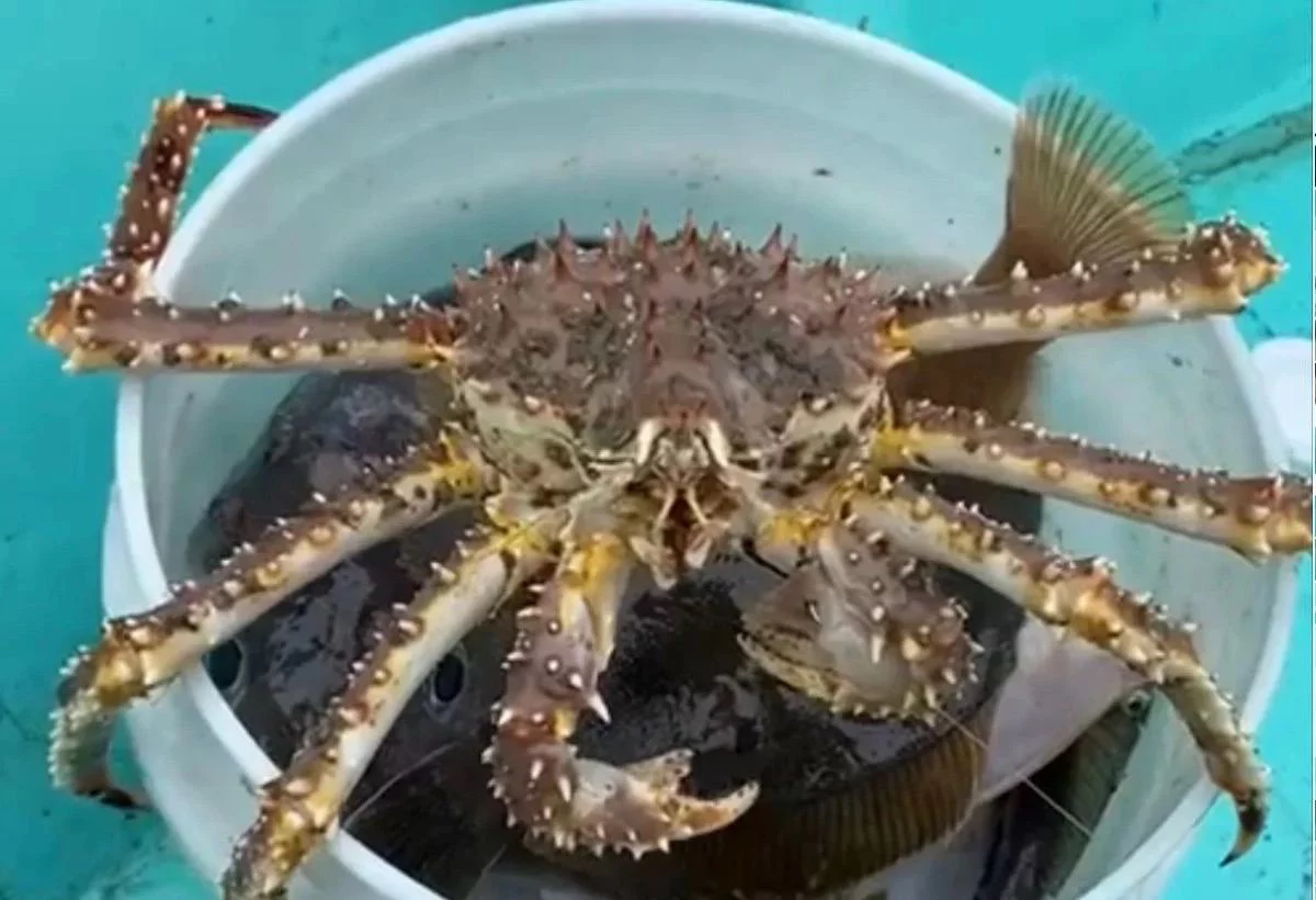 РБК Приморье