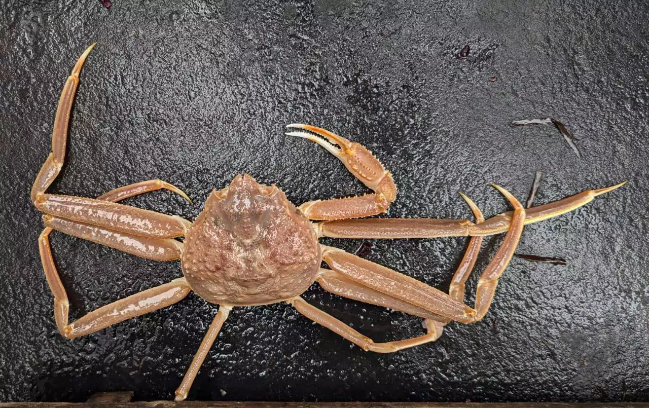 РБК Приморье