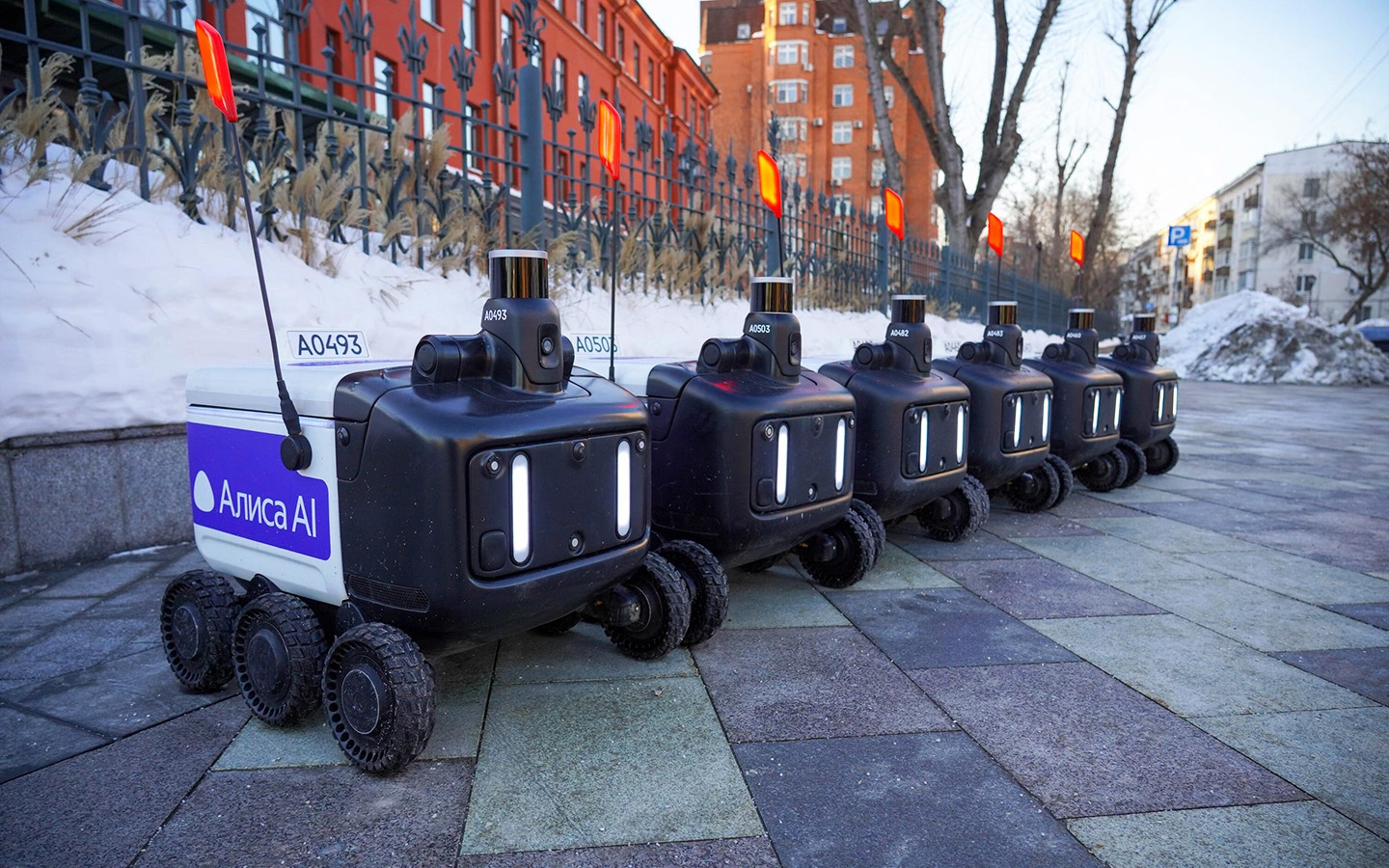Фото: Авилов Александр / Агентство «Москва»