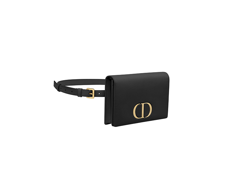 Поясная сумка Dior, 120 500 руб. (Dior)