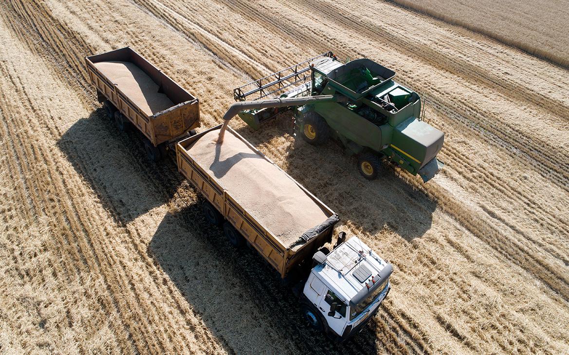 ЕС рассматривает введение пошлины на пшеницу из России. Что это значит