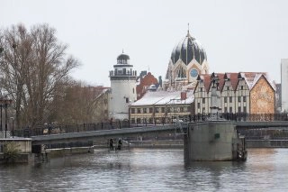 Александр Подгорчук