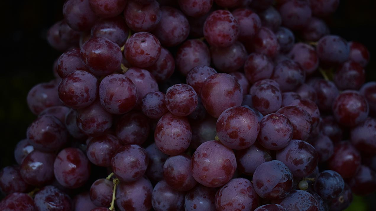 В Японии вывели новый сорт винограда на основании местного автохтона