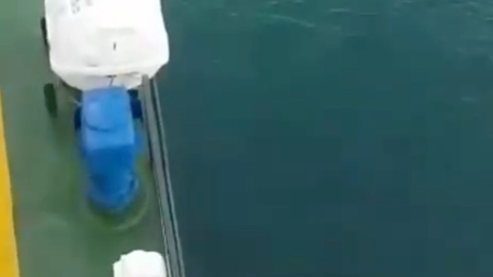 У берегов Сахалина рыбаки заметили белую акулу. Видео