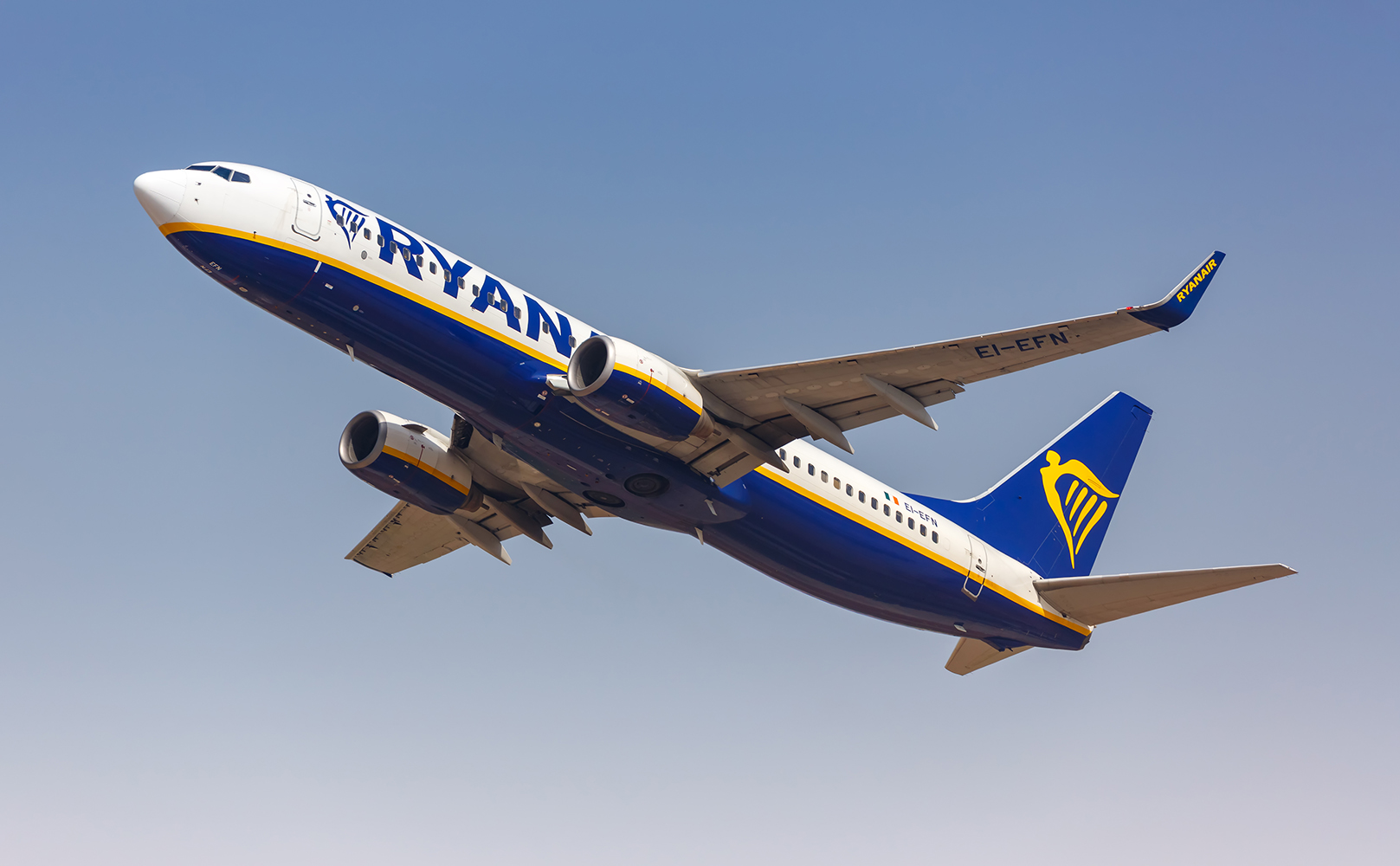 Фото: Shutterstock