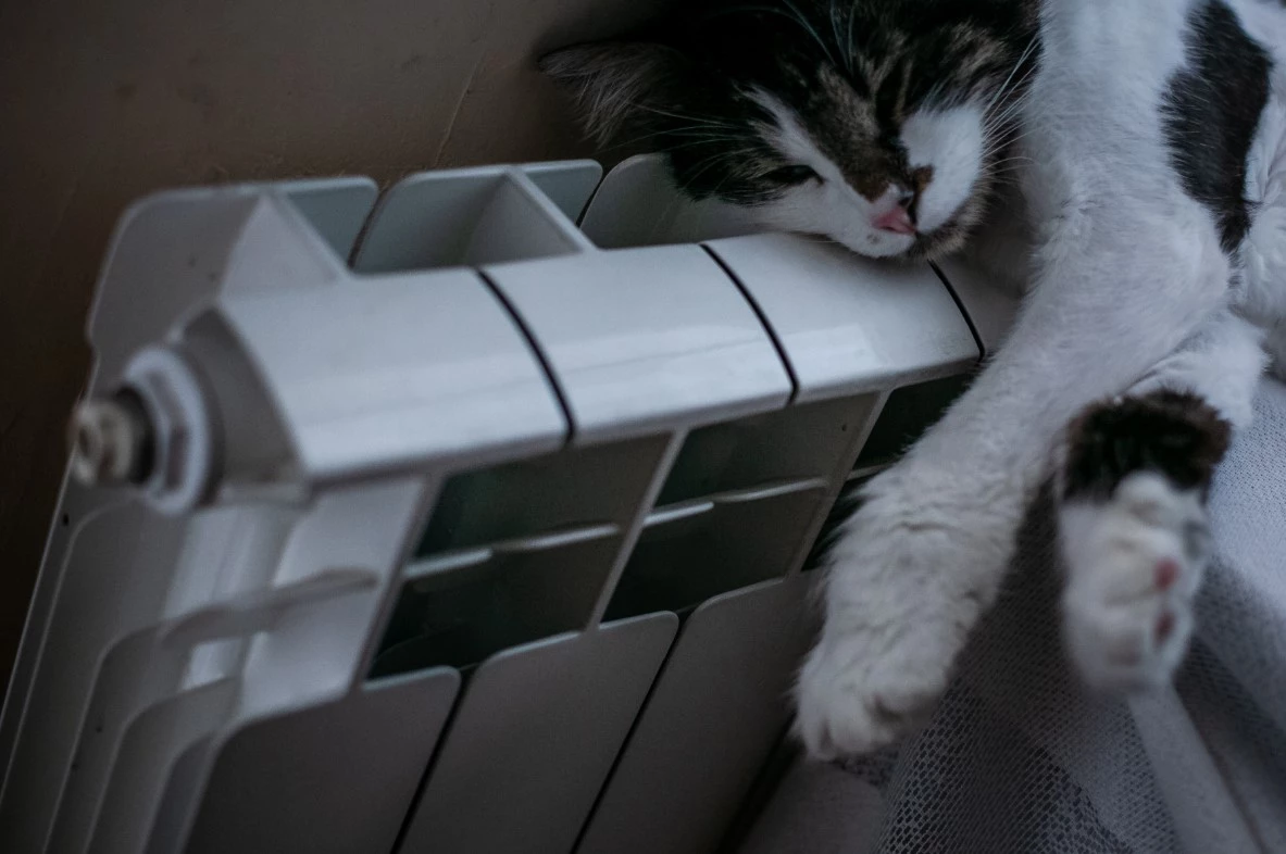 Владимир Андреев / URA.RU