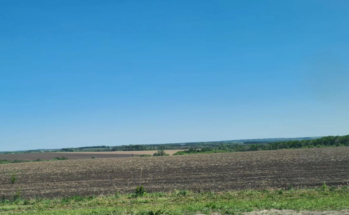 РБК Черноземье