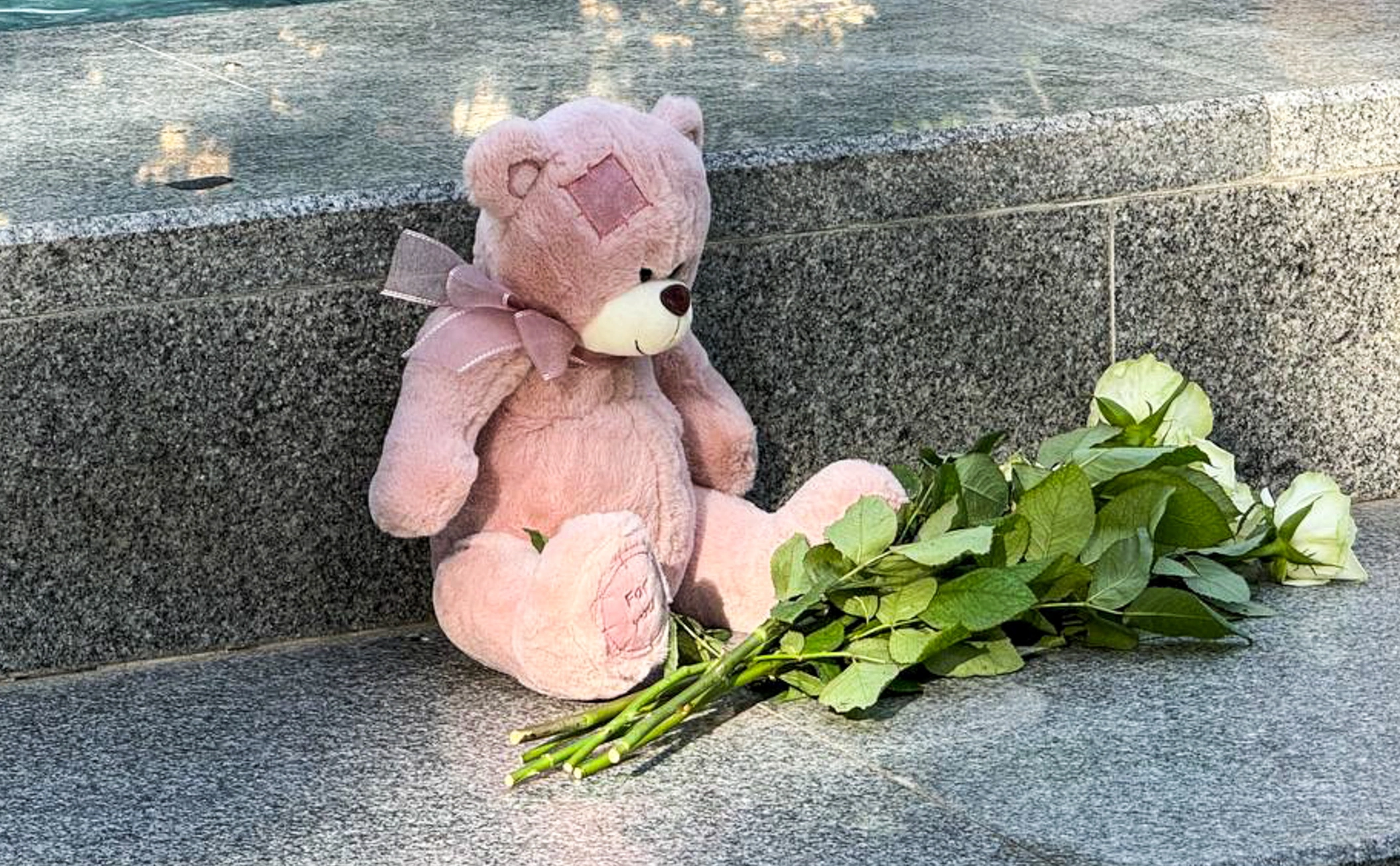 Правительство Севастополя / ТАСС