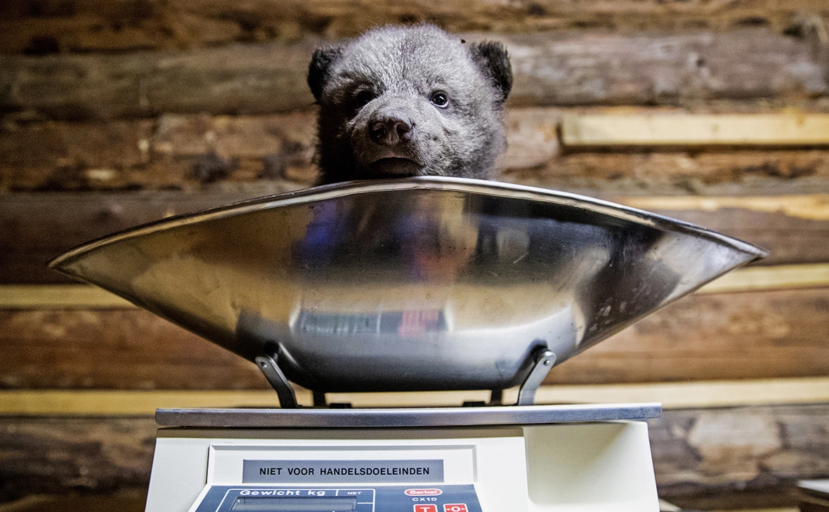 Сергей Бобылев / ТАСС