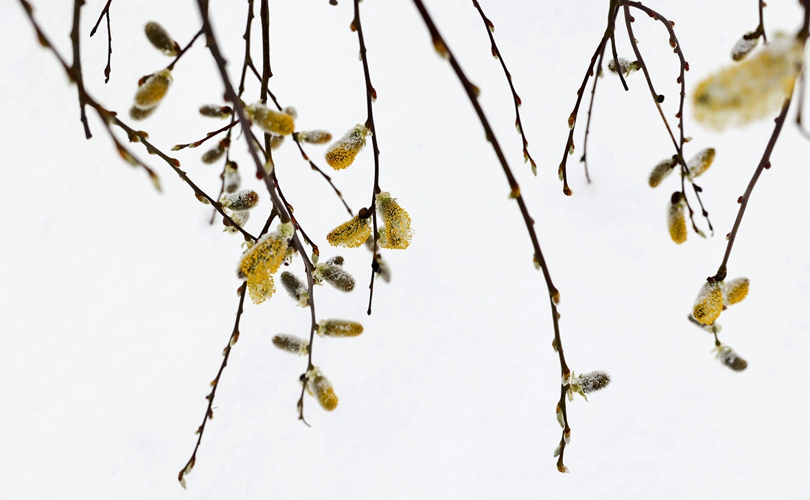 Ярослав Чингаев / АГН «Москва»