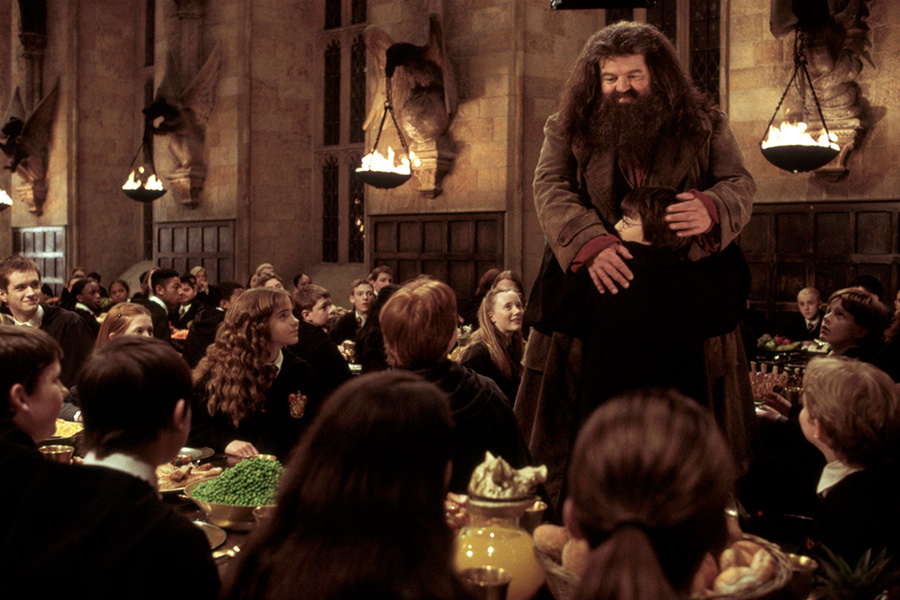 <p>Робби Колтрейн в роли Рубеуса Хагрида</p>