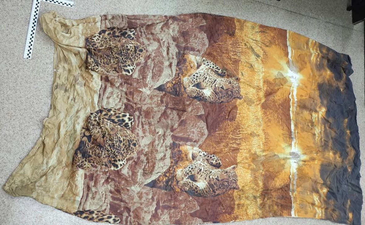 СУ СК России по Камчатскому краю