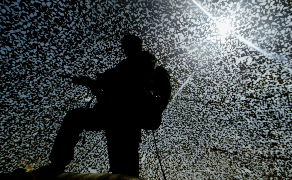 Ian Waldie / Getty Images