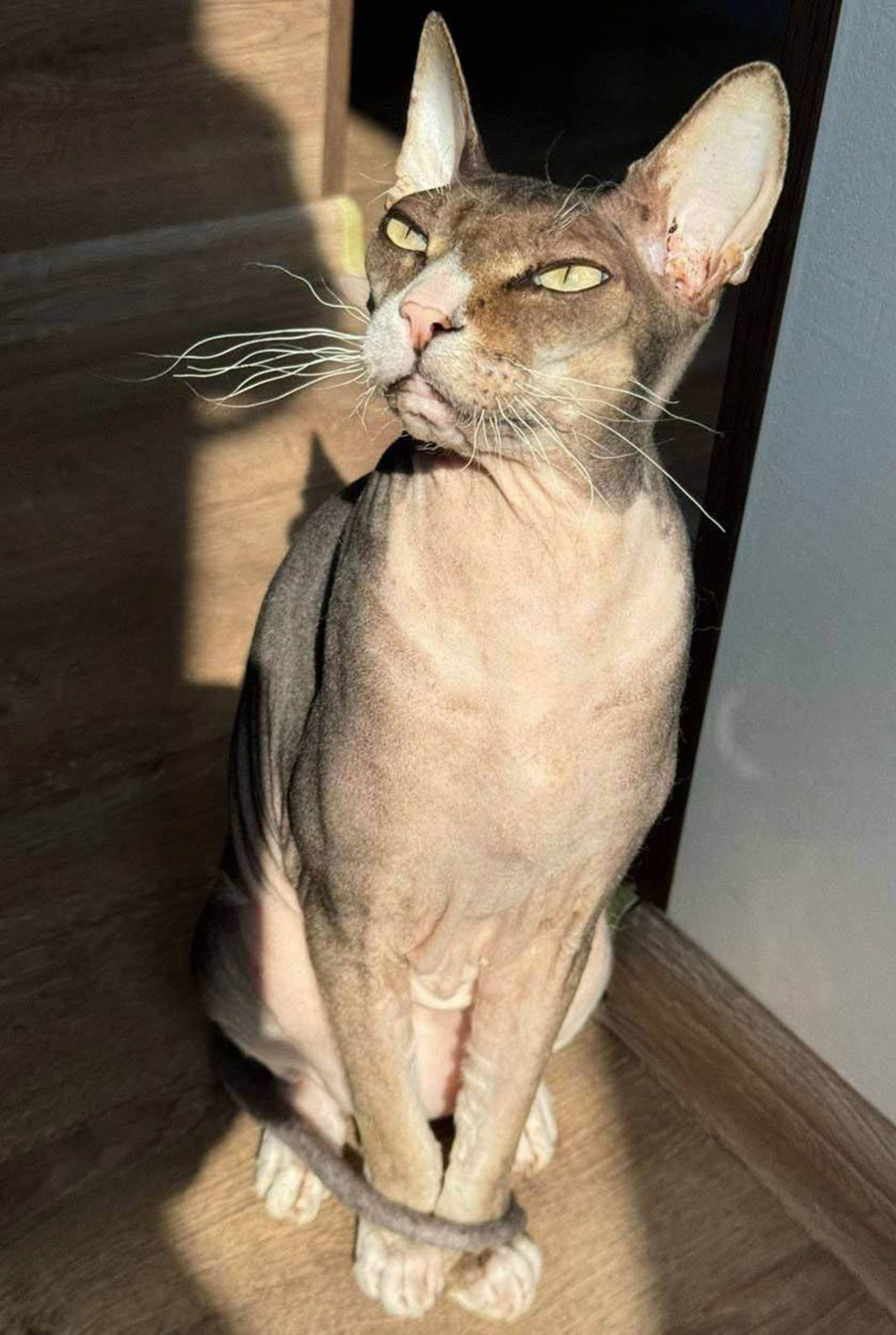 Фото: МЧС России