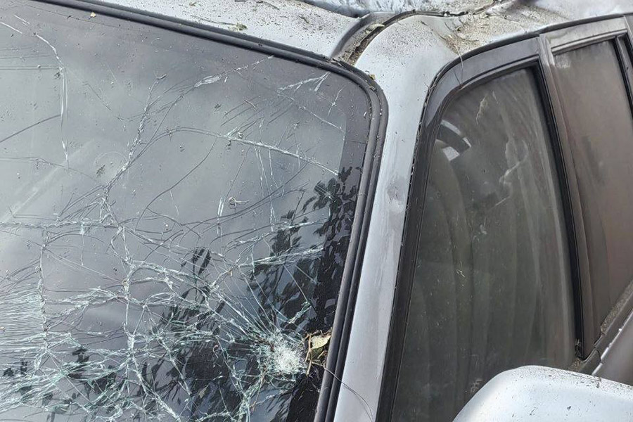 Фото: vvgladkov / Telegram