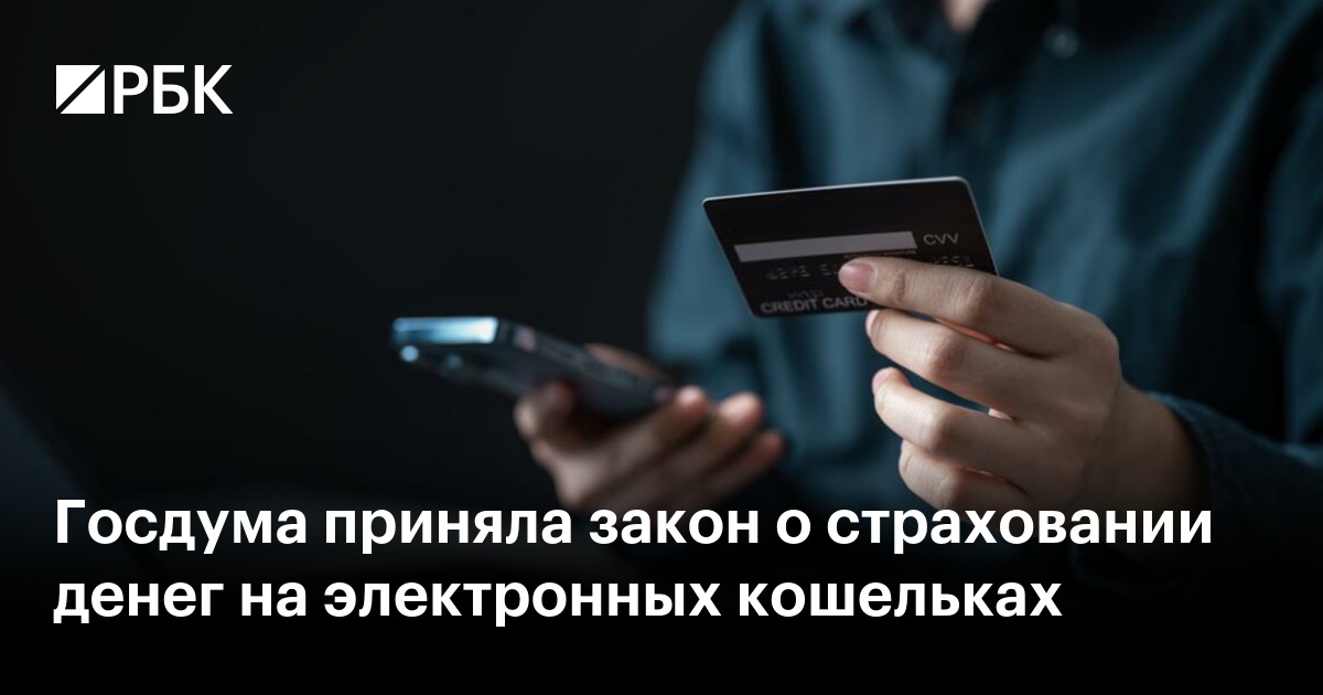 Госдума приняла закон о страховании денег на электронных кошельках