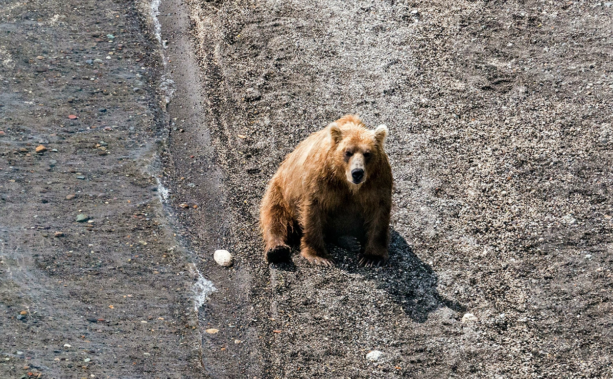 Сергей Фомин / Global Look Press