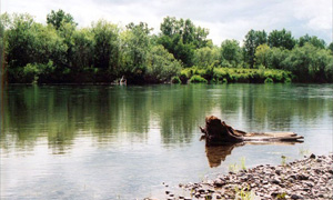 На Камчатке в реке утонул вездеход, погибли 4 человека