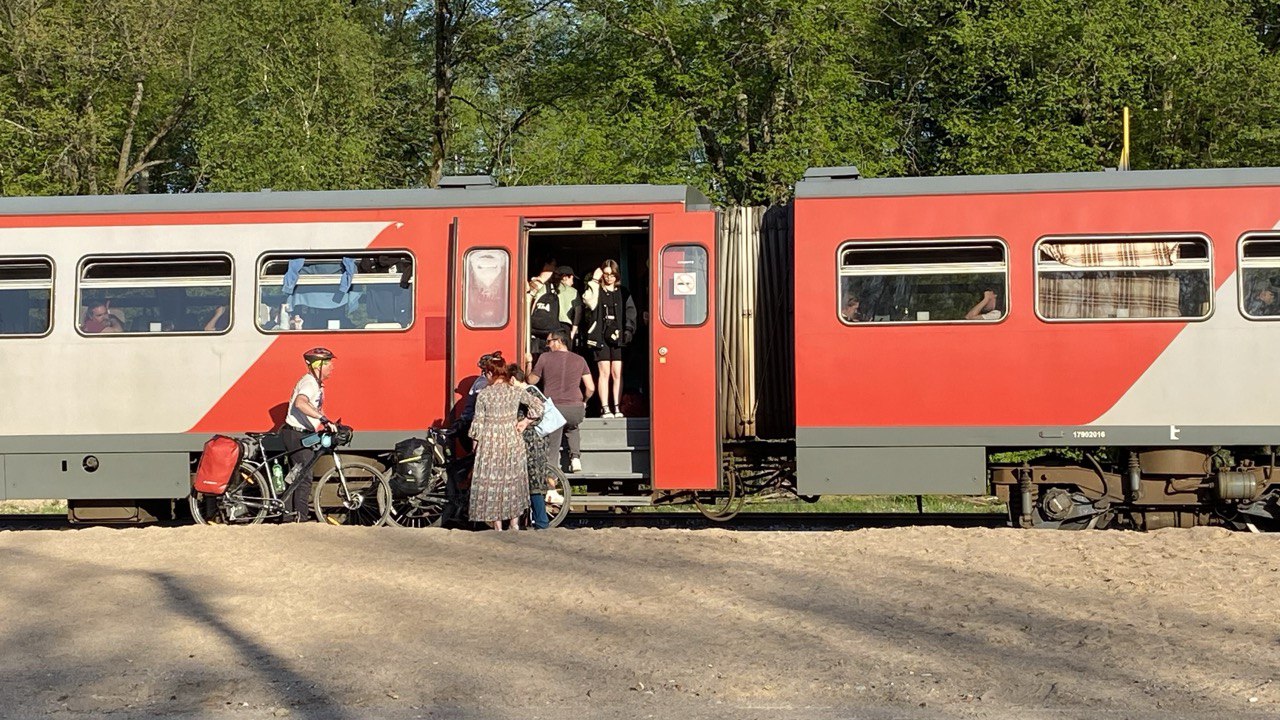 В первом рельсобусе до Краснолесья туристам не хватило сидячих мест — РБК