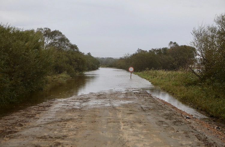 Правительство Приморского края