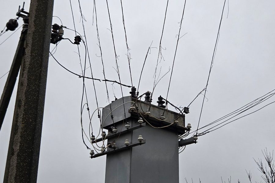 Фото: SALDO_VGA / Telegram