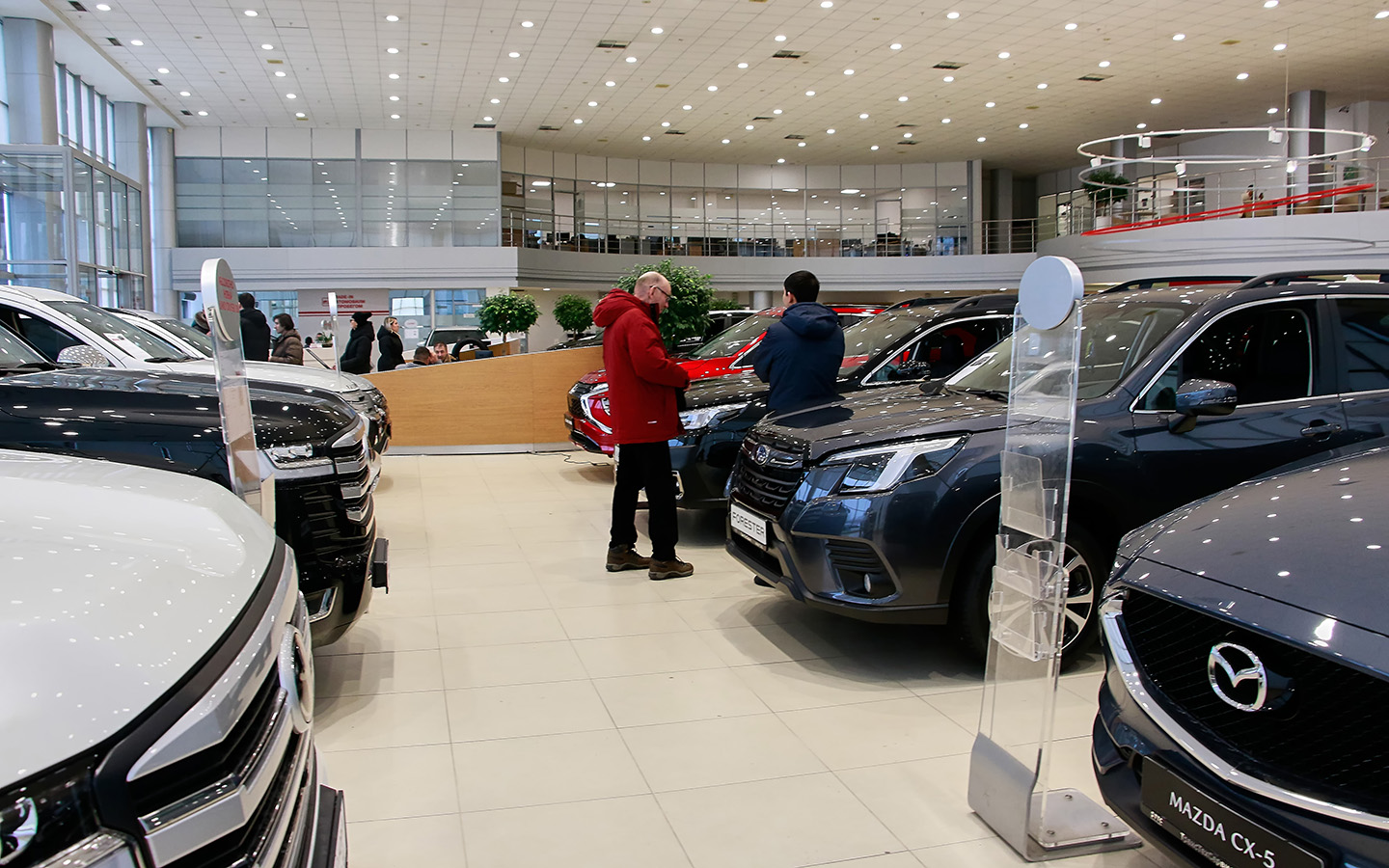 Фото: KELENY / Shutterstock / FOTODOM