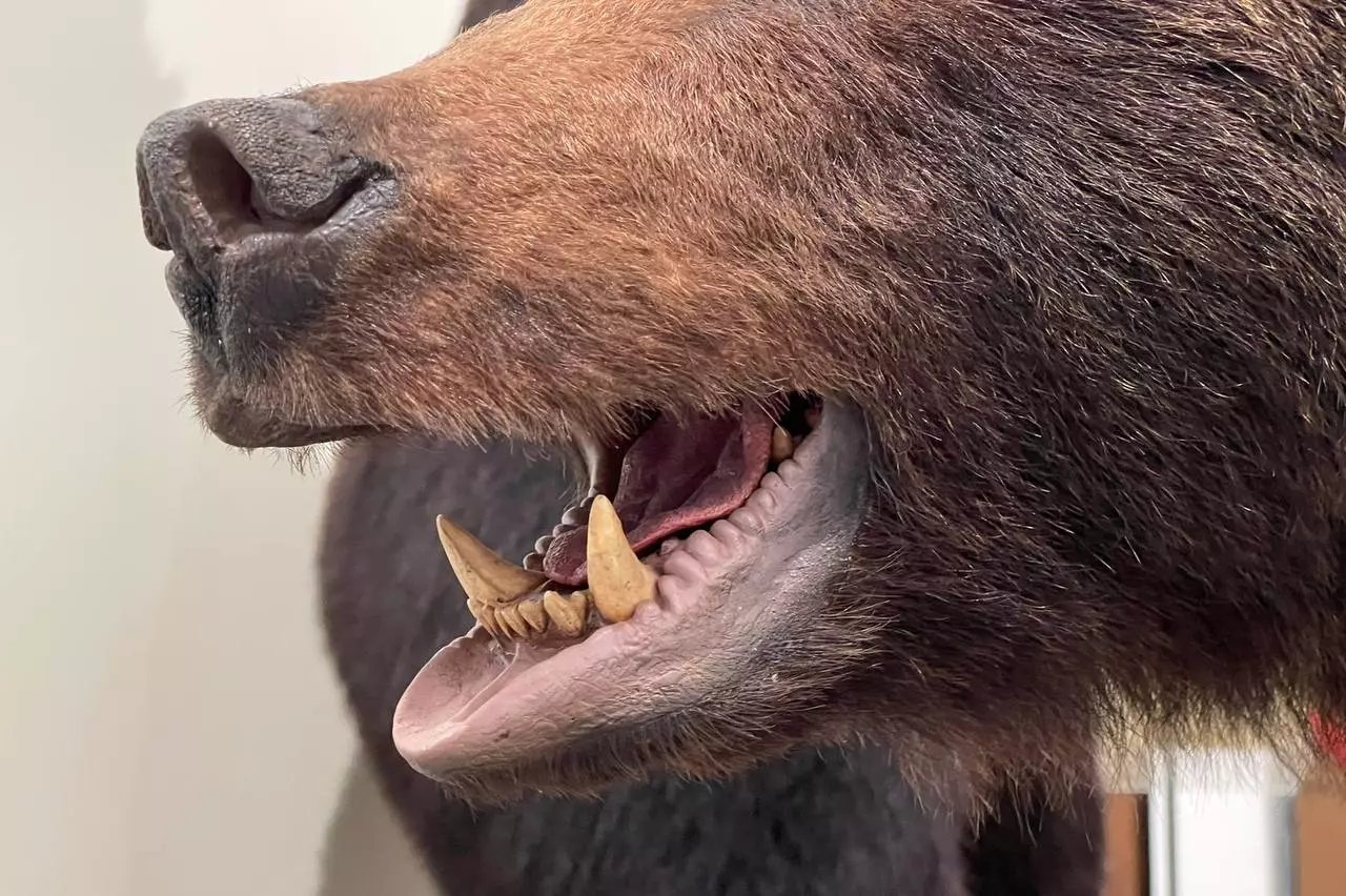 РБК Приморье