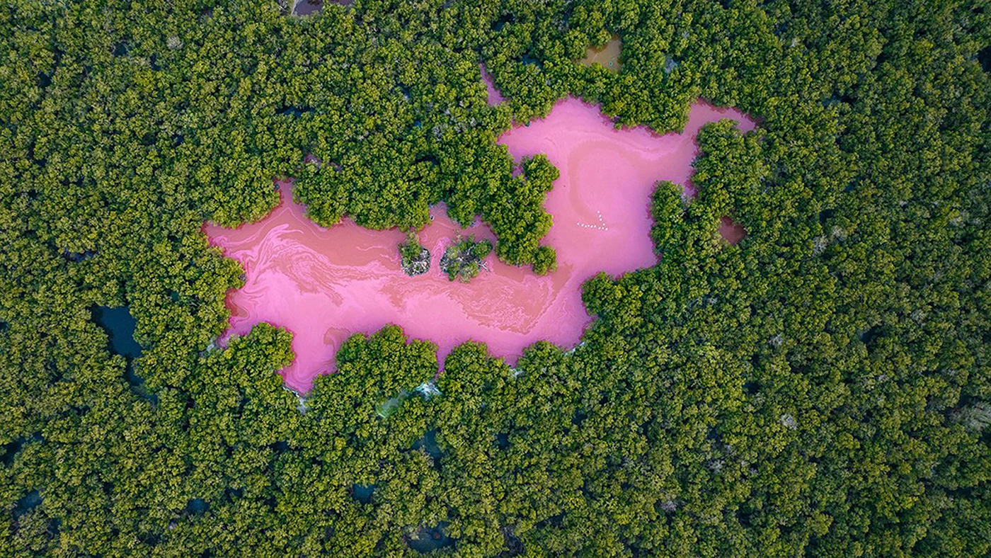 <p>На фото:&nbsp;розовое озеро находится в мангровых лесах Колумбии, недалеко от Картахены</p>