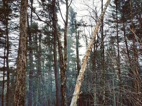 РБК Приморье