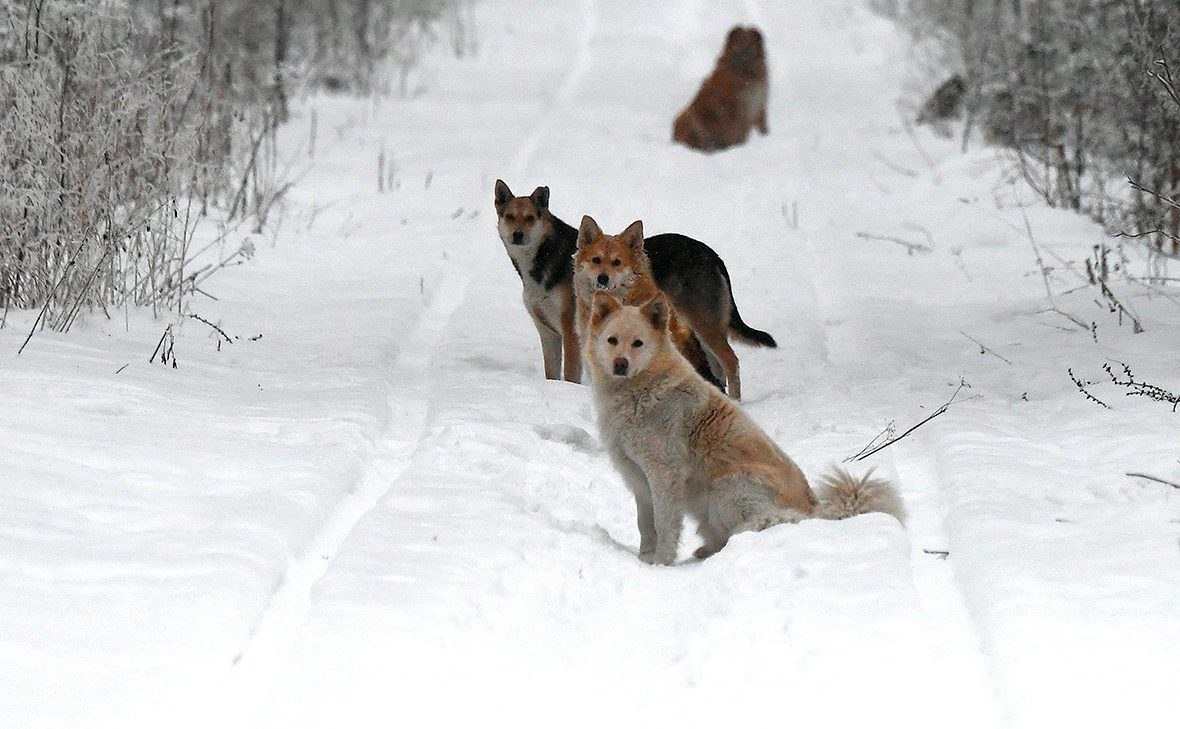 Илья Наймушин / РИА Новости