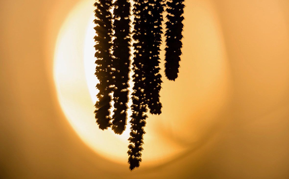 Frank Hammerschmidt / dpa / Global Look Press