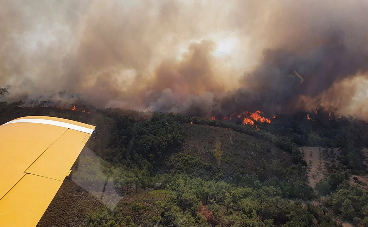 Turkish Ministry of Agriculture and Forestry / Reuters
