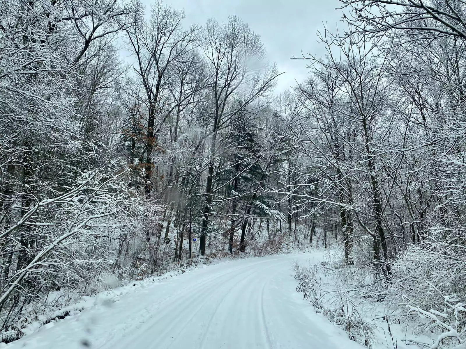 РБК Приморье