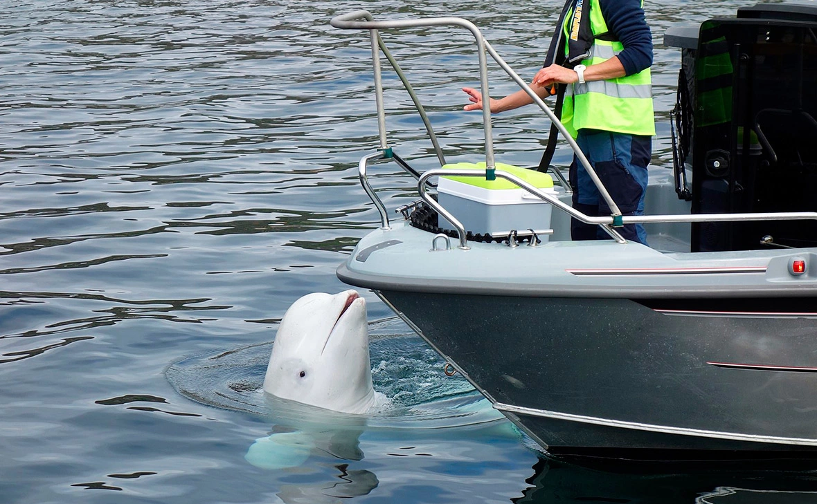 Ein Dahmer / Wikimedia Commons