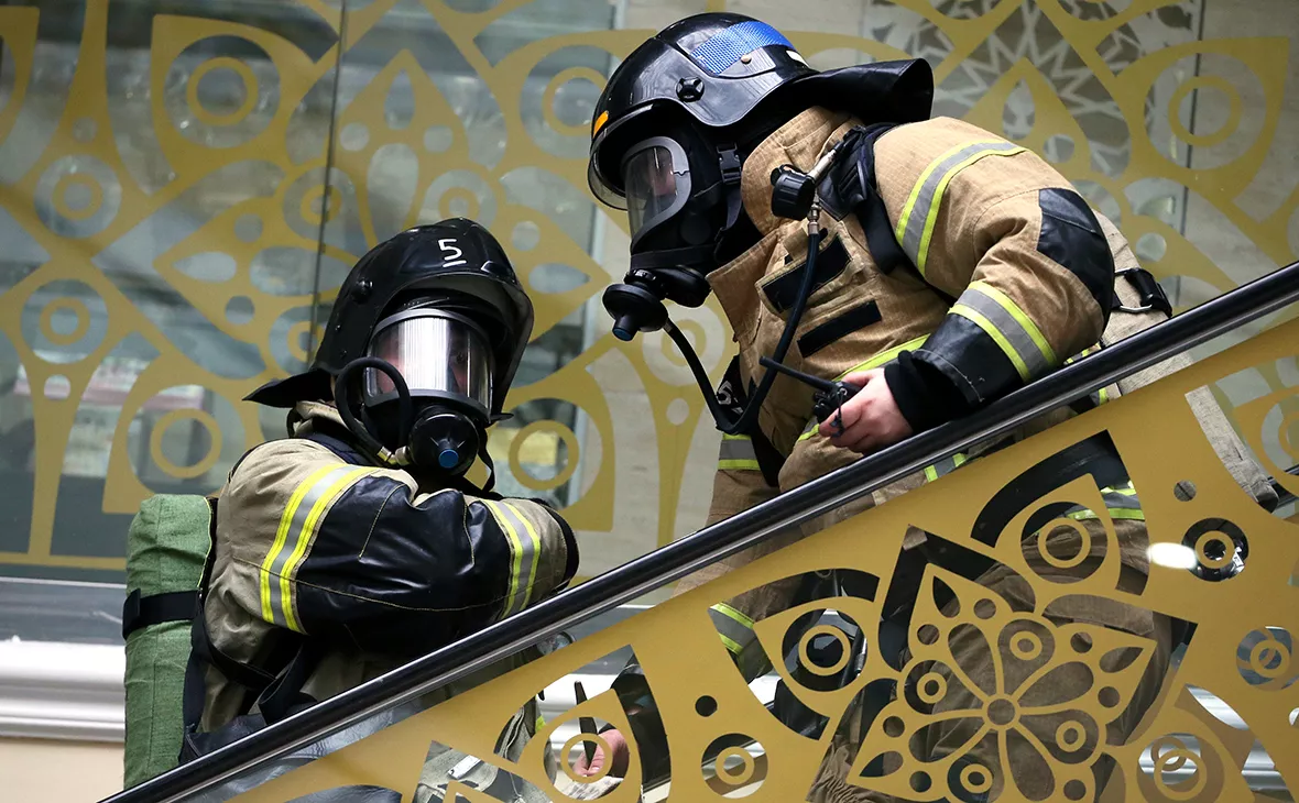 Елена Афонина / ТАСС