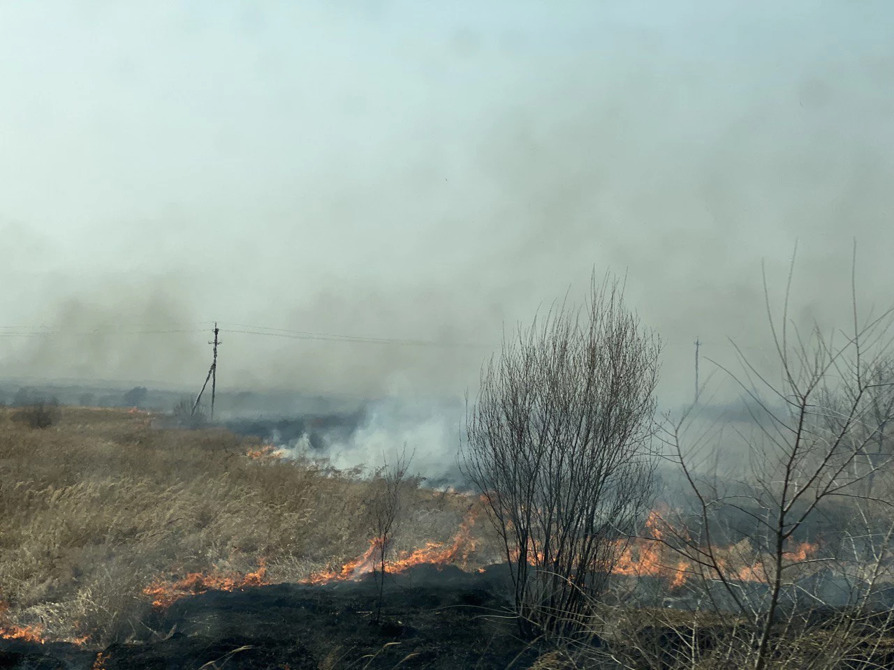 РБК Приморье