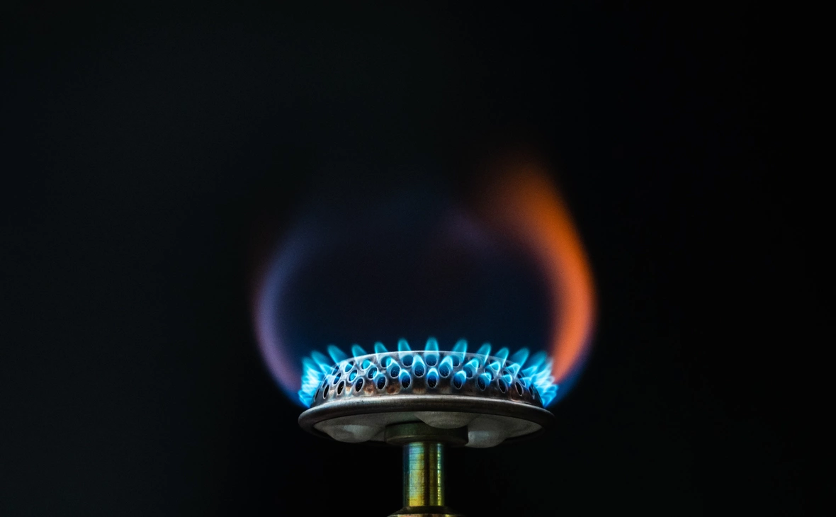 Silas Stein /dpa / picture-alliance / ТАСС