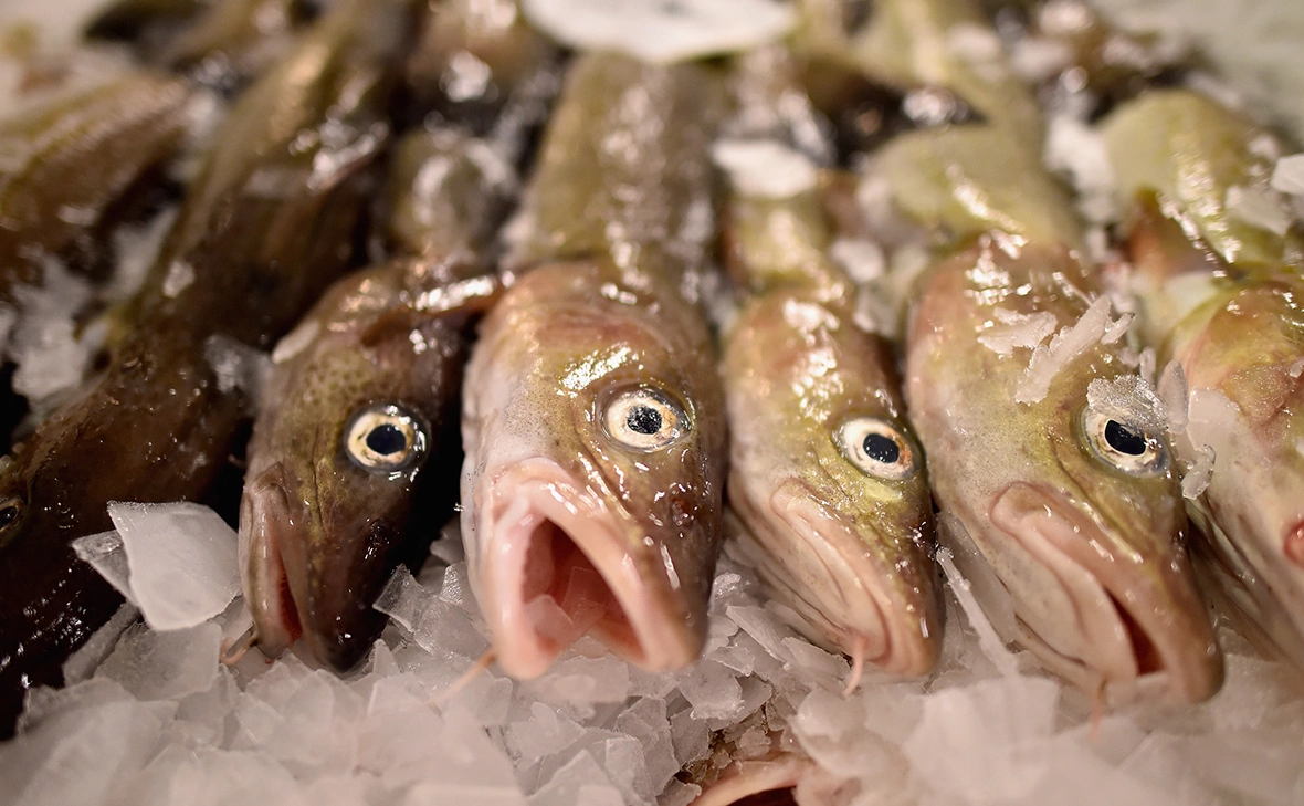 Jeff J Mitchell / Getty Images