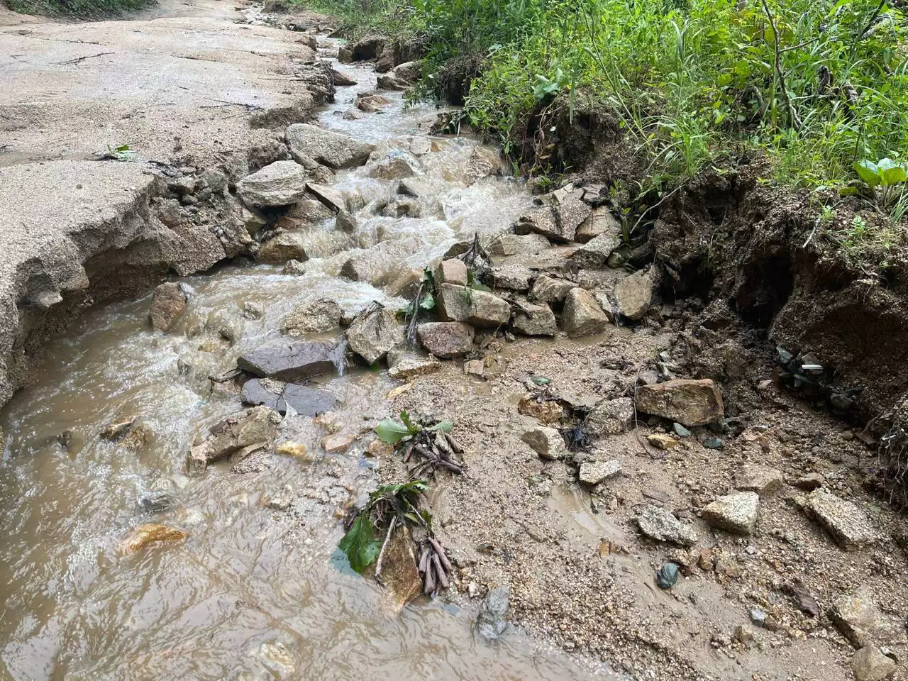 РБК Приморье 