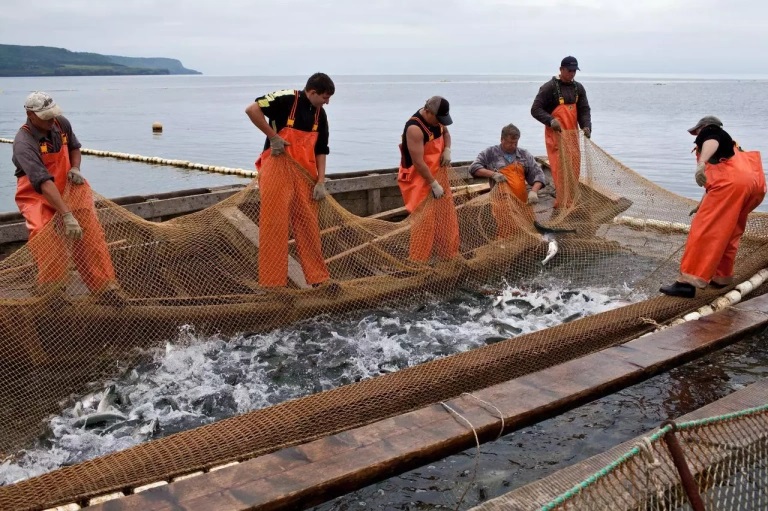 Фото: Правительство Сахалинской области