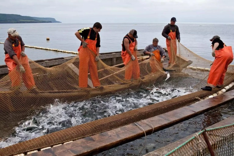 Правительство Сахалинской области