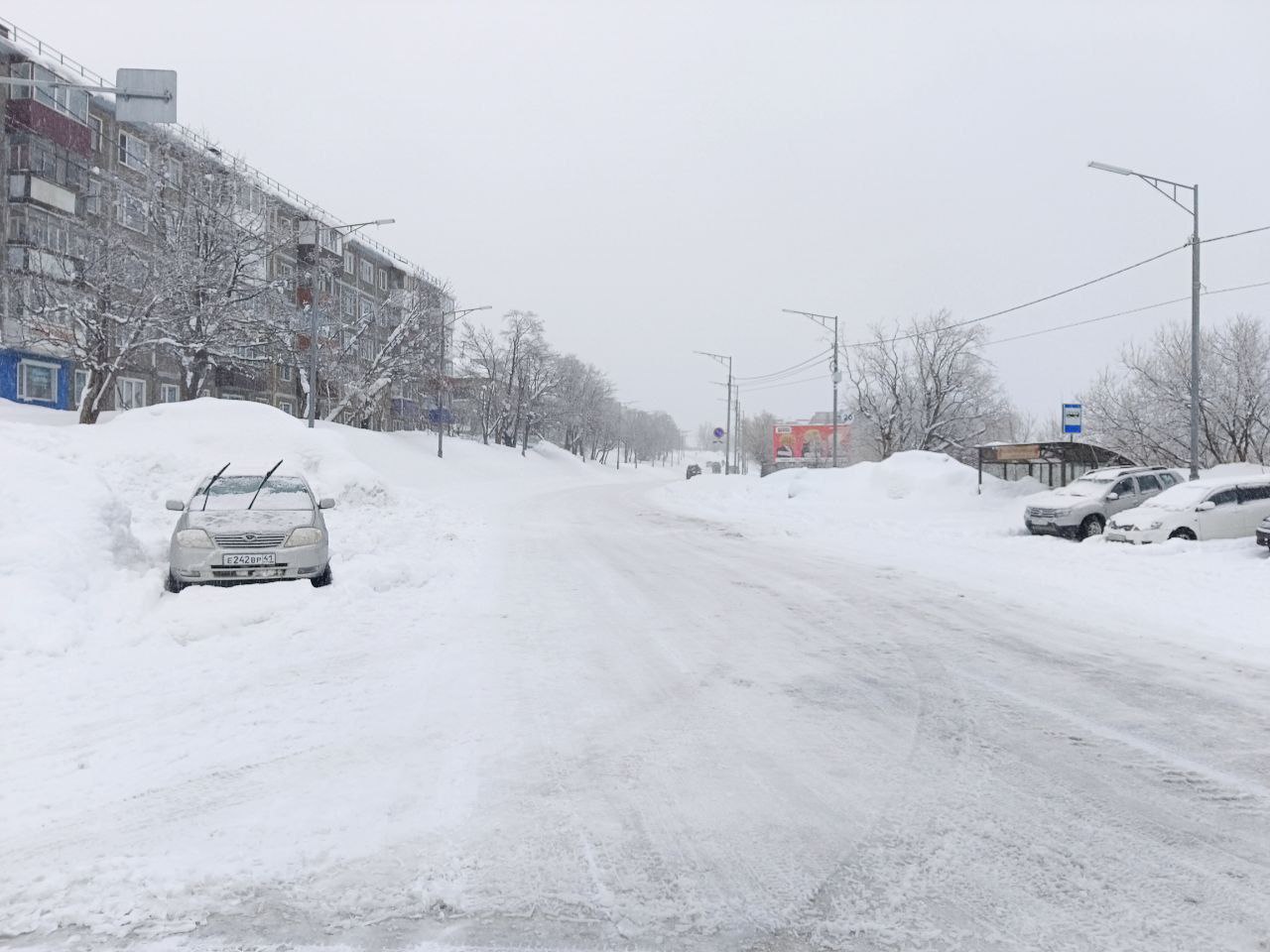 Фото: t.me/belyaev_official_pkgo