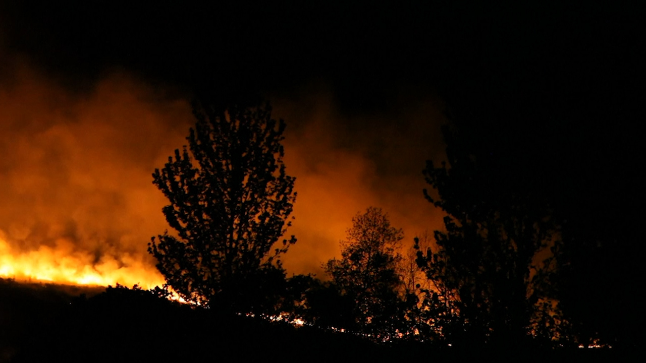 В Великобритании произошел пожар в «лесу Винни-Пуха»