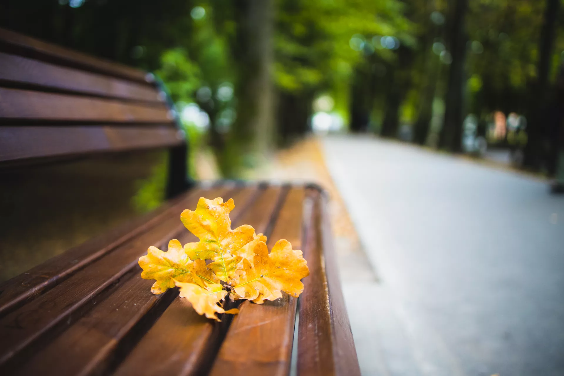 Александр Подгорчук